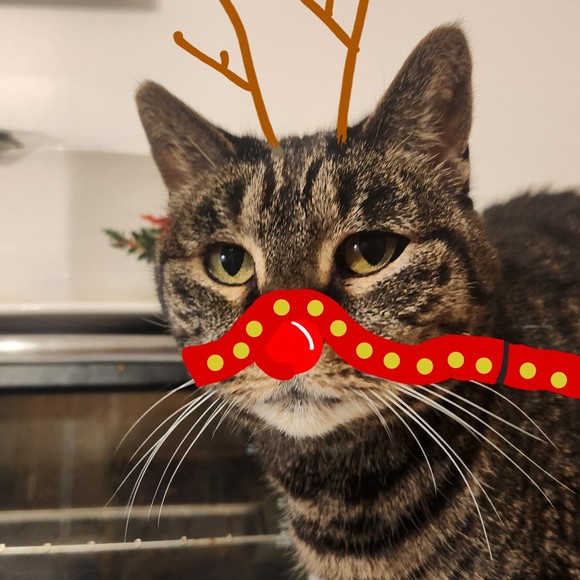 Meet your Posher, Sarah - Picture 1 of 1